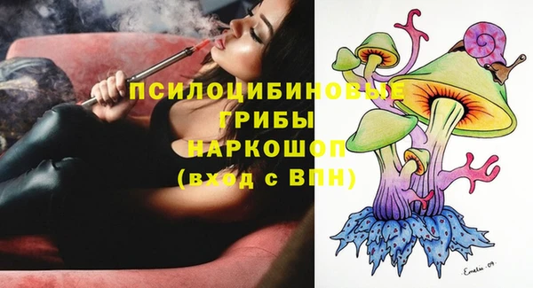 мет Алексин