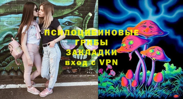 а пвп мука Алзамай