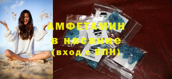 мет Алексин